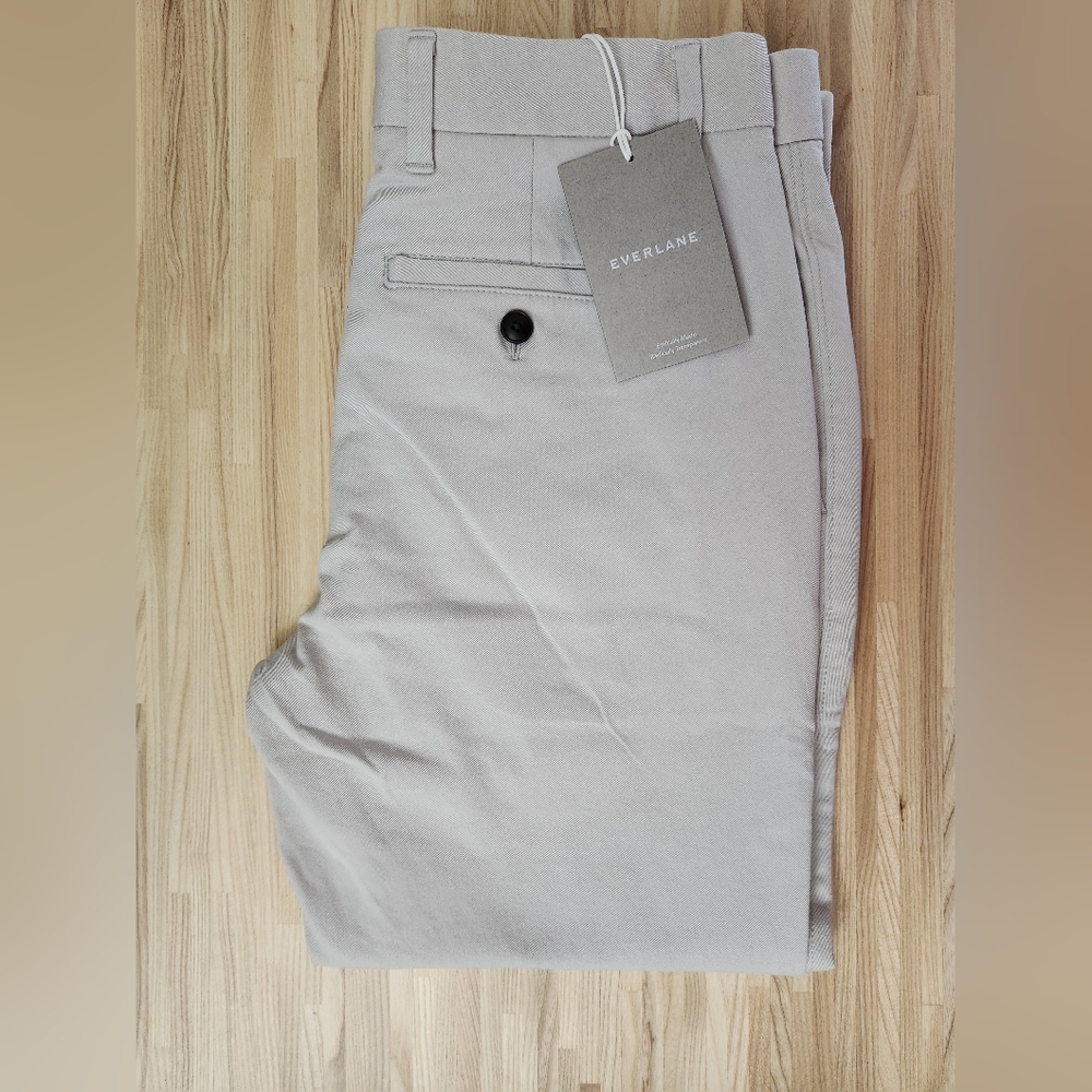 NWT Everlane Performance Chino Slim in Ice Blue Size 29